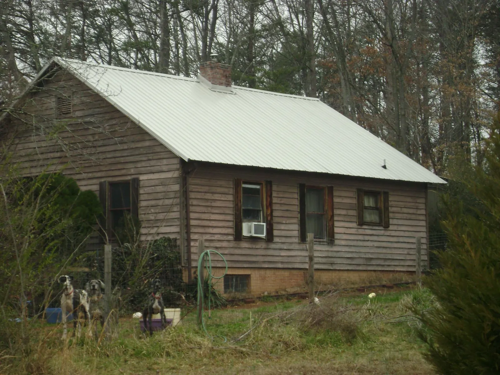 White metal roof on an old wood sided farmhouse, from a Asphalt Shingle Roof Repair job in Montverde